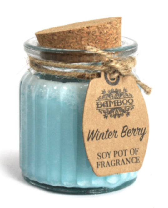 Winter Berry Soy Pot of Fragrance Candle Sajaroo Gifts