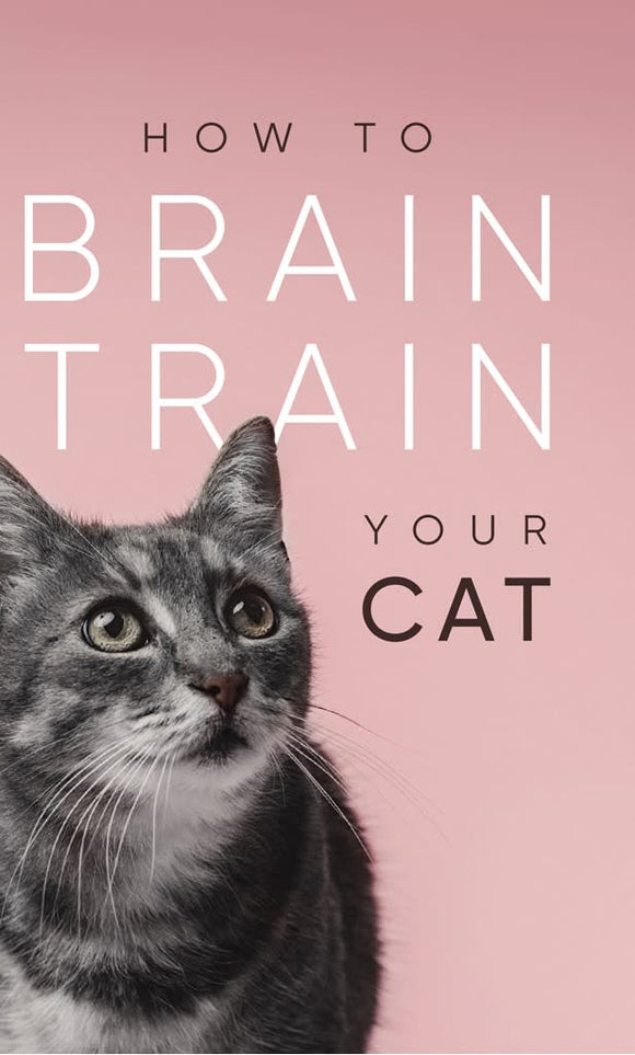 How To Brain Train Your Cat Sajaroo Gifts