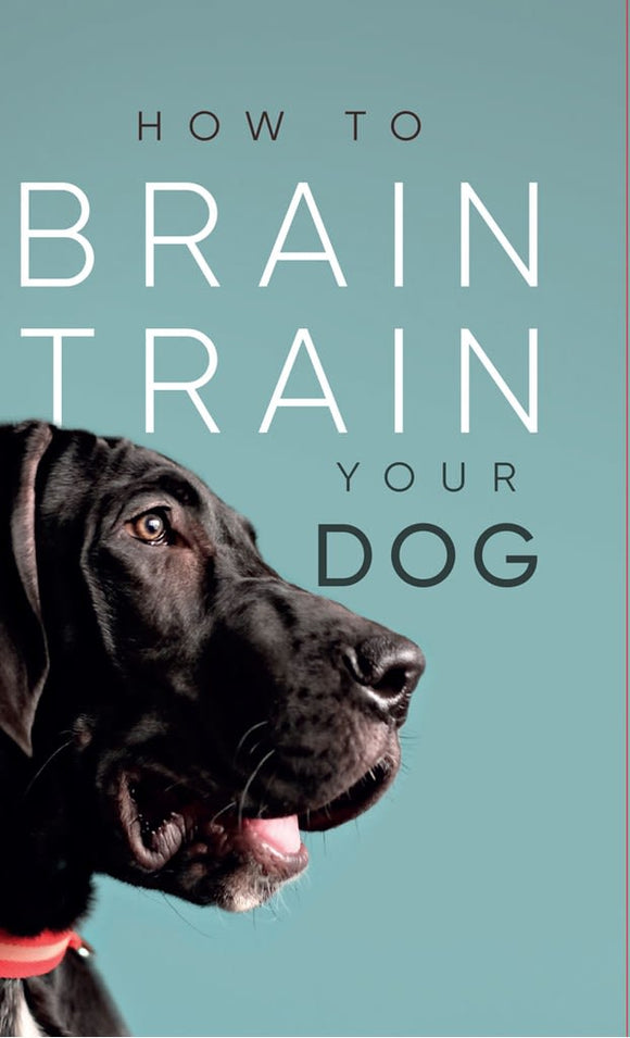 How To Brain Train Your Dog Sajaroo Gifts