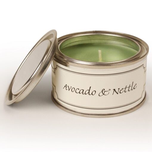 Pintail Avocado & Nettle Paint Pot Candle Sajaroo Gifts