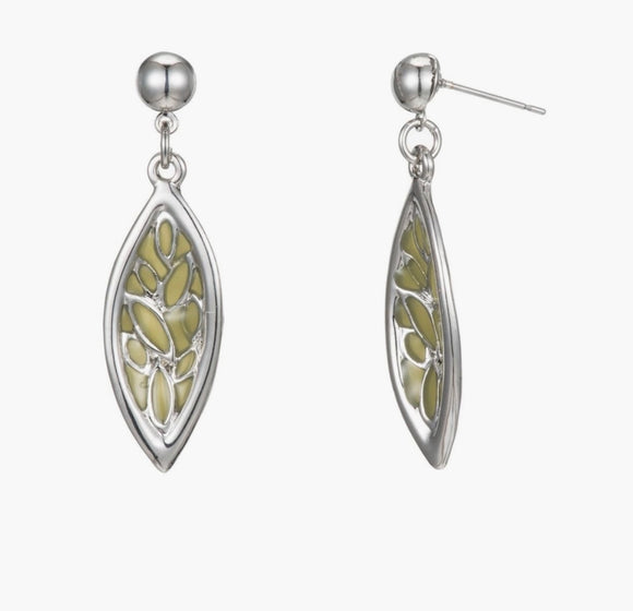 Belina stud earrings Sajaroo Gifts