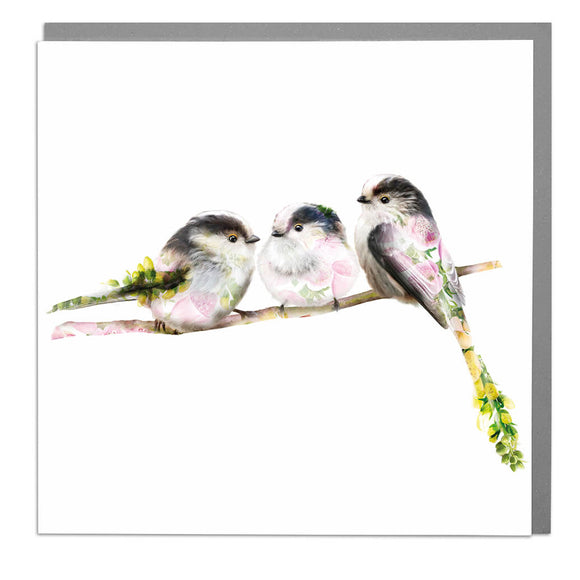 Three Long Tail Tit Birds Card By Lola Design
