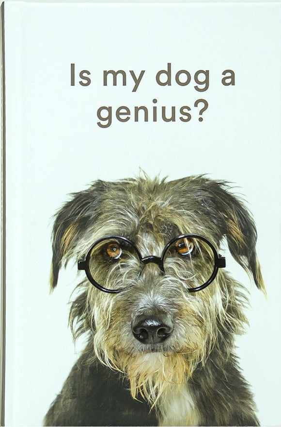 Is My Dog A Genius Sajaroo Gifts
